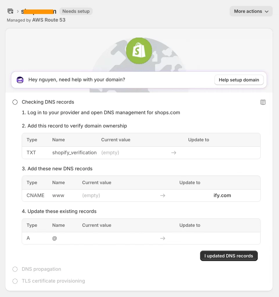 DNS settings in Shopify