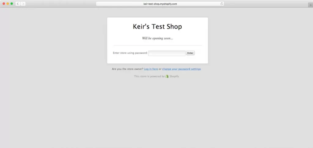 shopify store password page