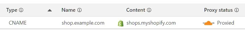 shopify dns entry