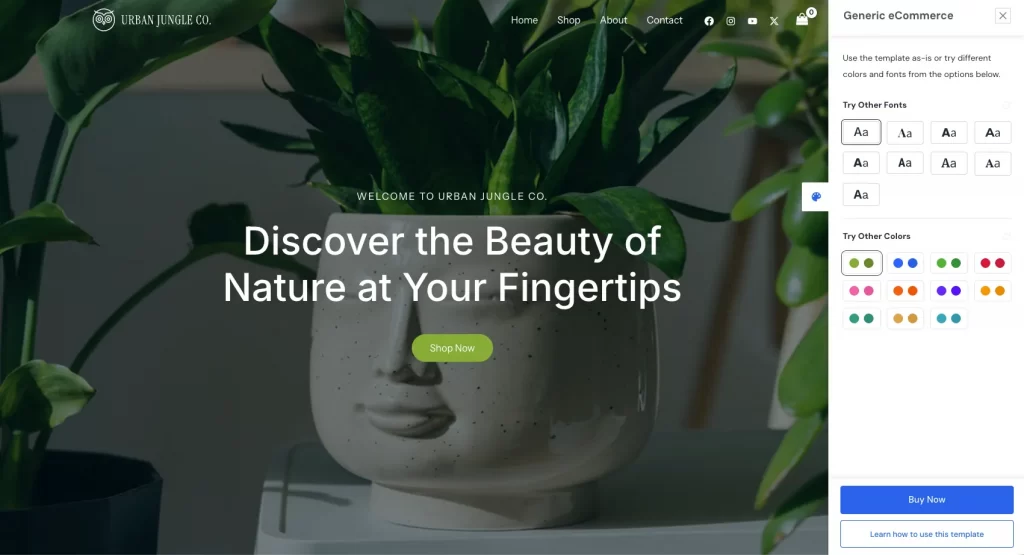 2 astra woocommerce theme website demo